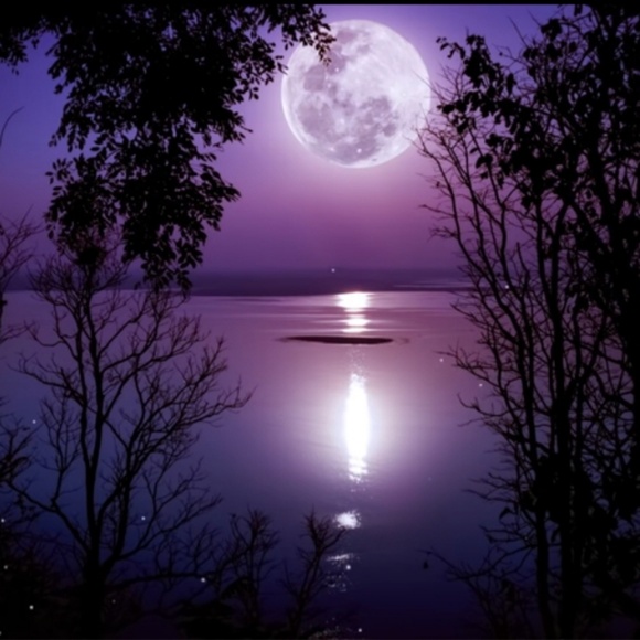 Meet your Posher, Trina - Picture 1 of 1